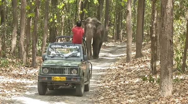 Wildlife Tour Packages
