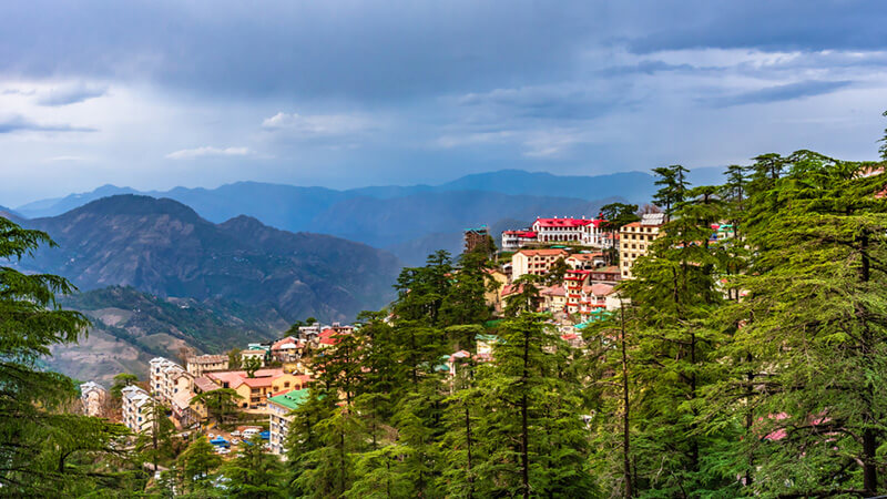 Shimla Tour Packages