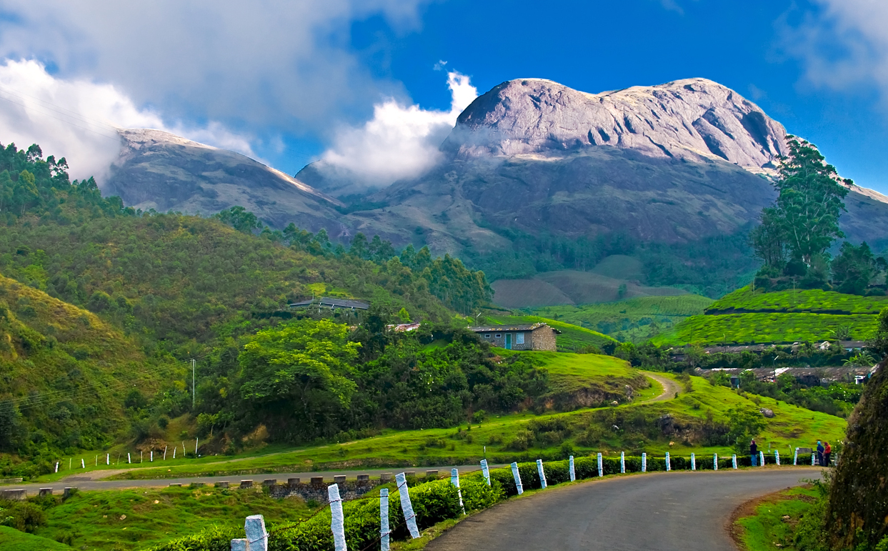 Munnar Tour Packages