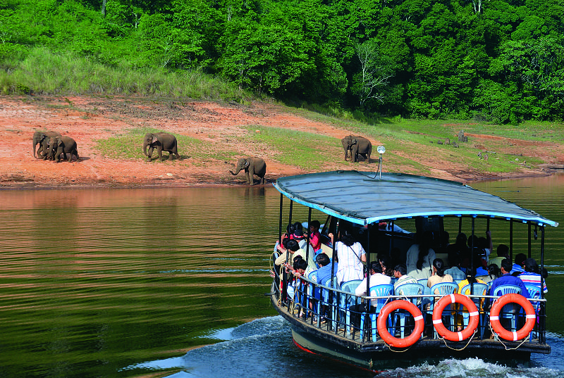 Thekkady Tour Packages