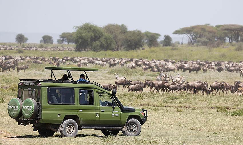 Game Drives Tour Packages