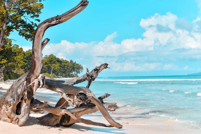 South Andaman Tour Packages