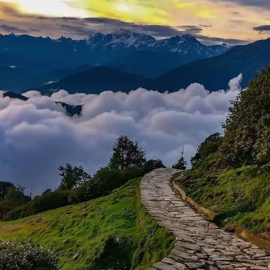 Chopta Tour Packages