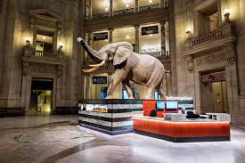 Museums Tour Packages