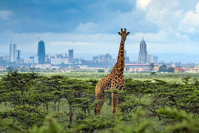 Nairobi Tour Packages