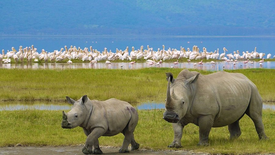 Nakuru Tour Packages