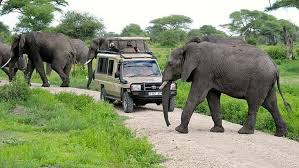 Game Drives Tour Packages