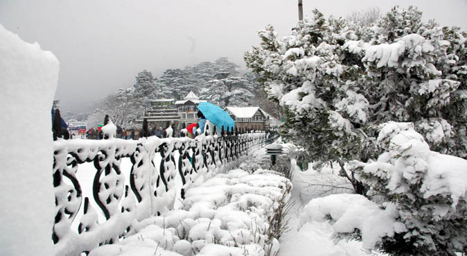 Kufri Tour Packages