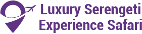 Luxury Serengeti Experience Safari