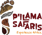 Pilama Safaris