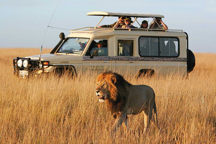 Jeep Safari Tour Packages