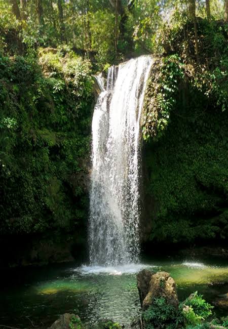 Sightseeing Tour Packages