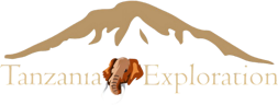 Tanzania Exploration