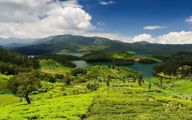 Ooty Tour Packages
