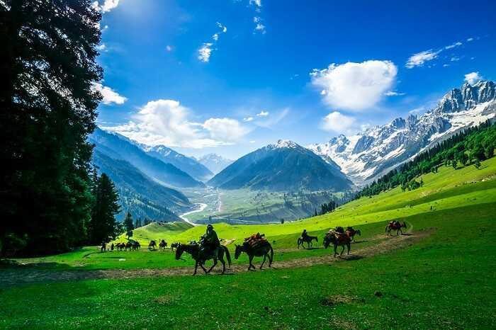 Sightseeing Tour Packages