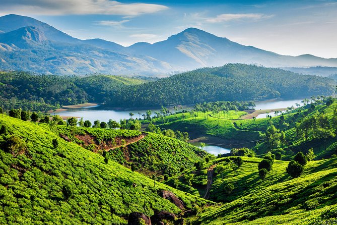 Munnar Tour Packages