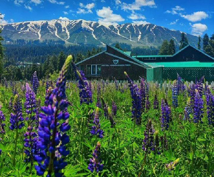 Sightseeing Tour Packages