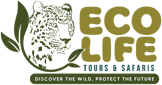 Eco Life Tours and Safaris Company Limited