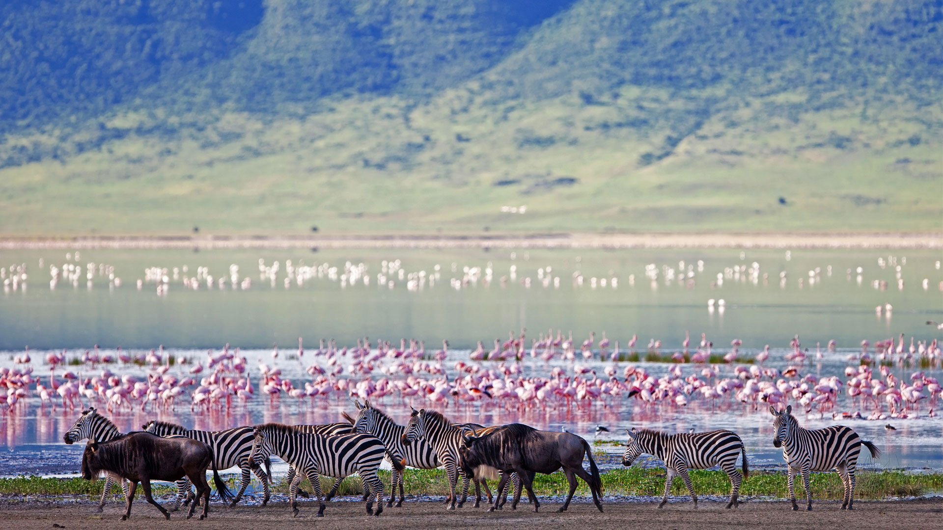 Ngorongoro Tour Packages