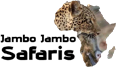 Jambo Jambo Safaris