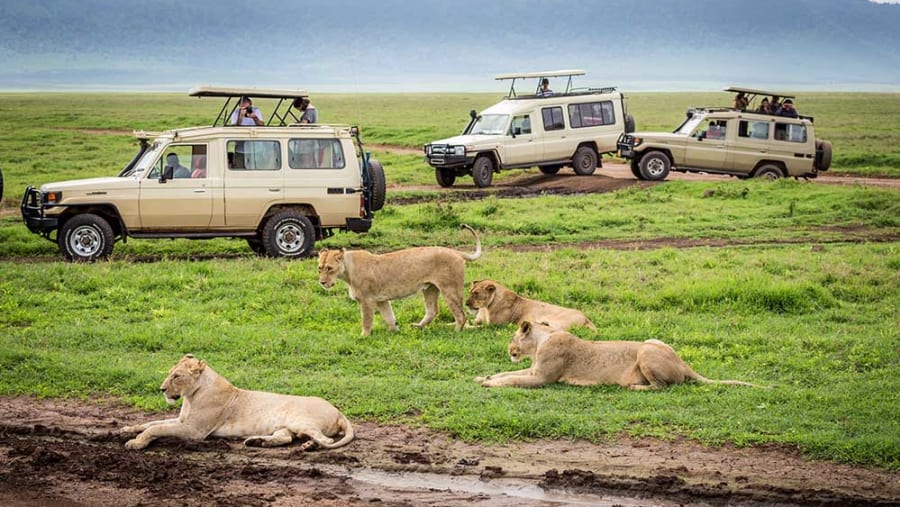 Ngorongoro Tour Packages