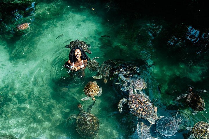 Swimming Tour Packages