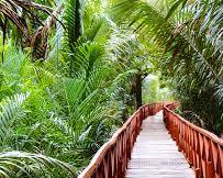 Rangat Tour Packages