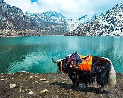 Gangtok Tour Packages