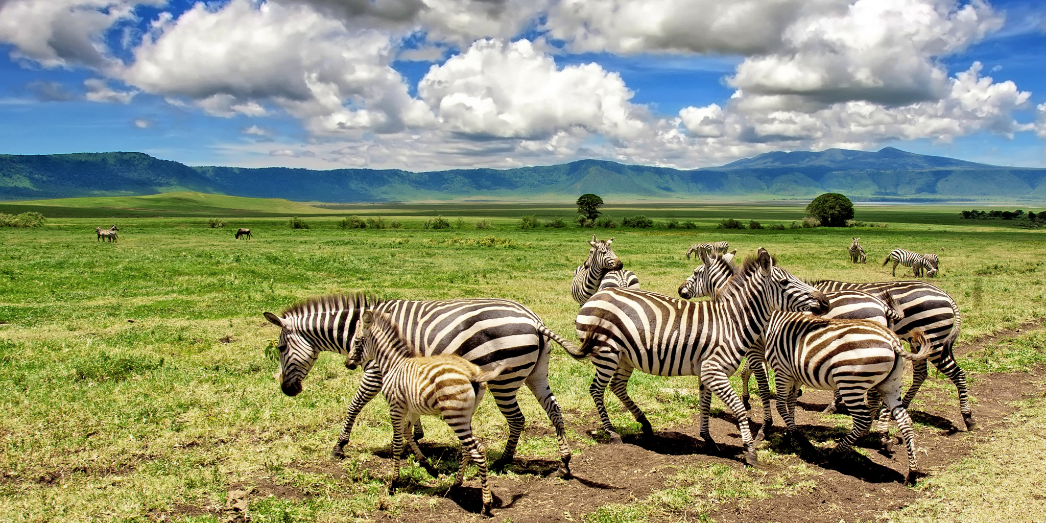Ngorongoro Tour Packages