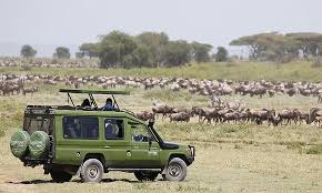 Game Drives Tour Packages