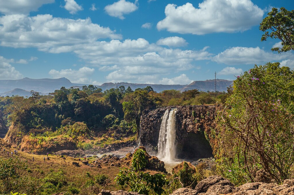 Sightseeing Tour Packages