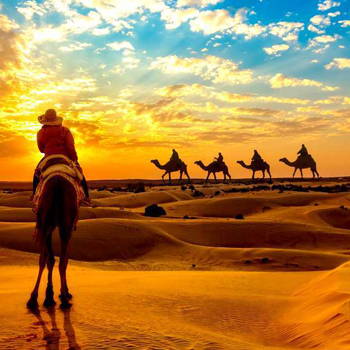 Sightseeing Tour Packages