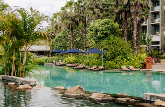 Swimming Tour Packages