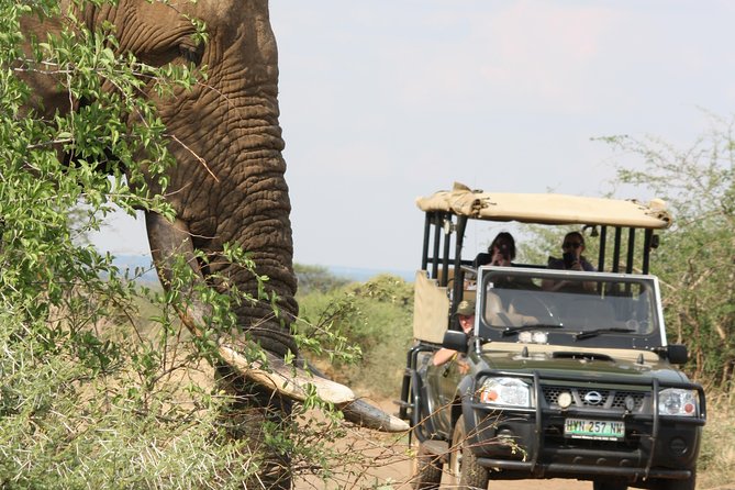 Game Drives Tour Packages