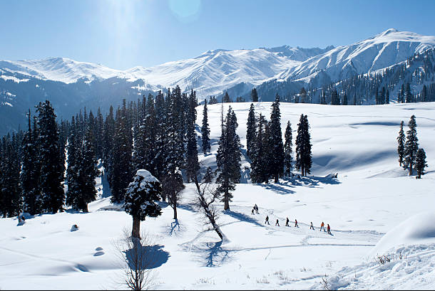 Srinagar Tour Packages