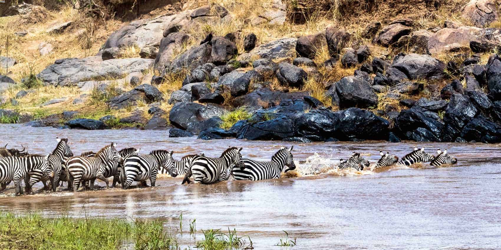 Masai Mara Tour Packages