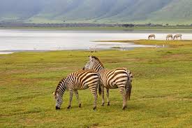 Ngorongoro Tour Packages