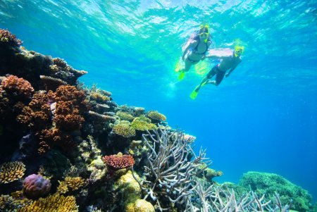 Cairns Tour Packages