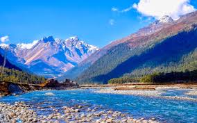 Yumthang Tour Packages