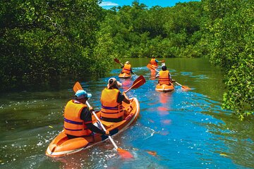 Kayaking Tour Packages