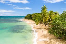 Beaches Sightseeing Tour Packages