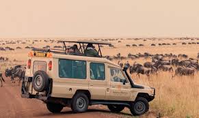 Game Drives Tour Packages