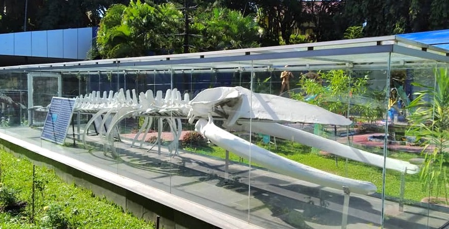 Museums Tour Packages