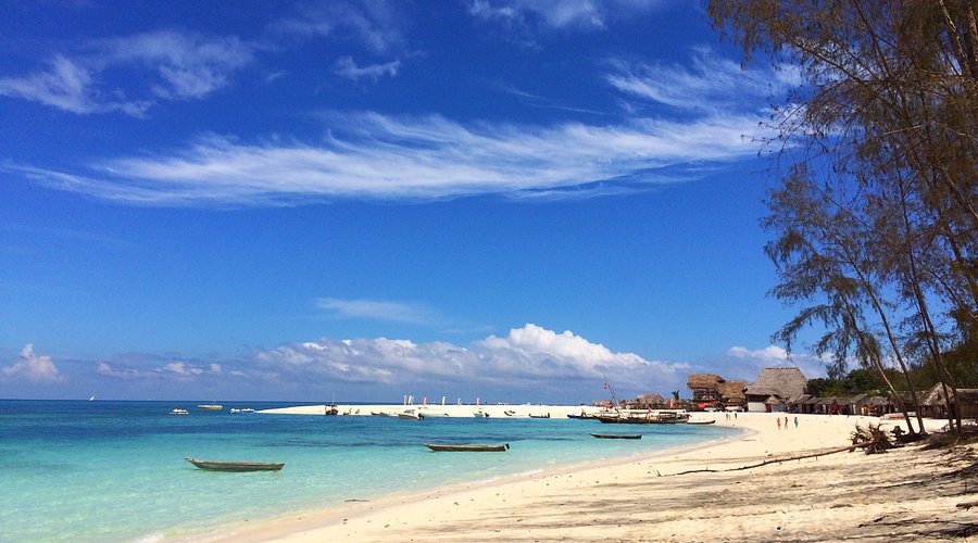 Sightseeing Tour Packages