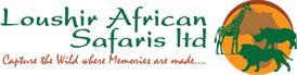 Loushir African Safaris Ltd