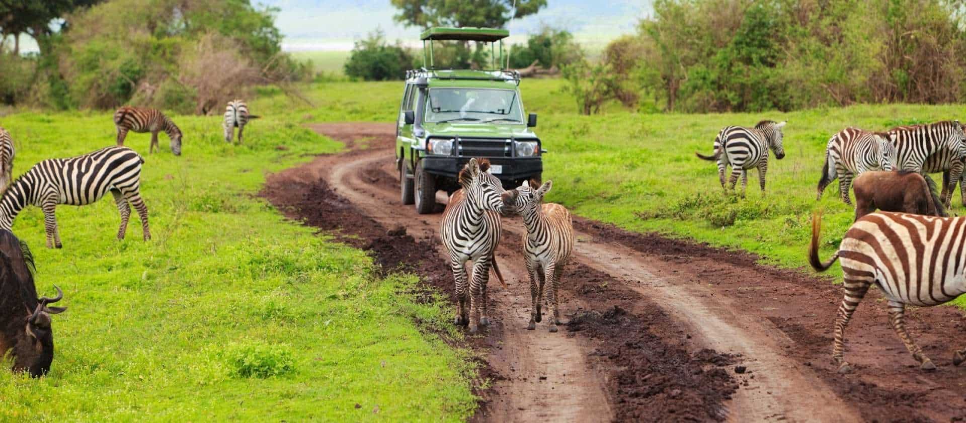 Game Drives Tour Packages