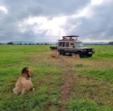 Game Drives Tour Packages