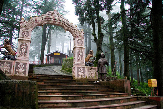 Sightseeing Tour Packages