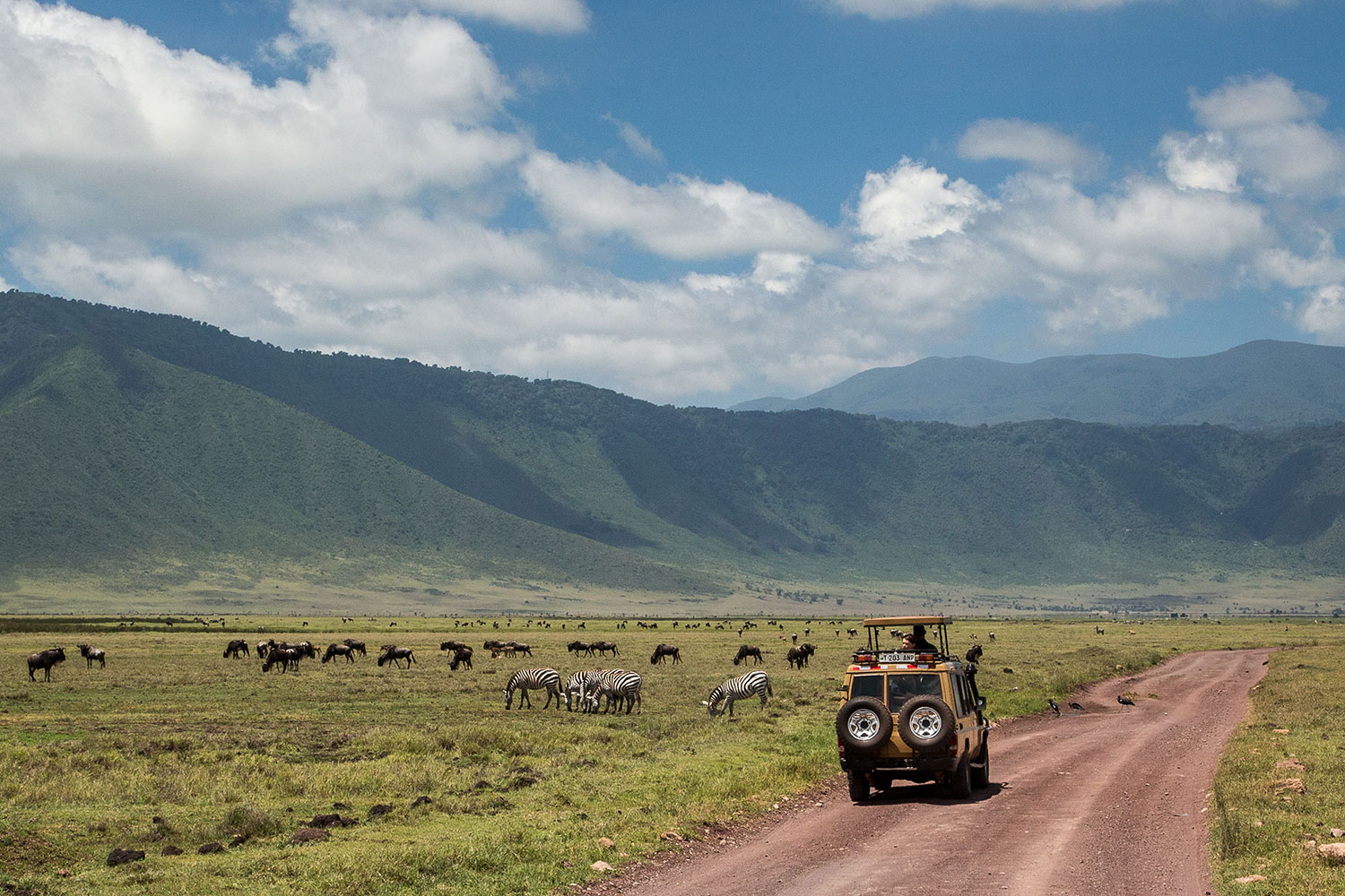 Ngorongoro Tour Packages