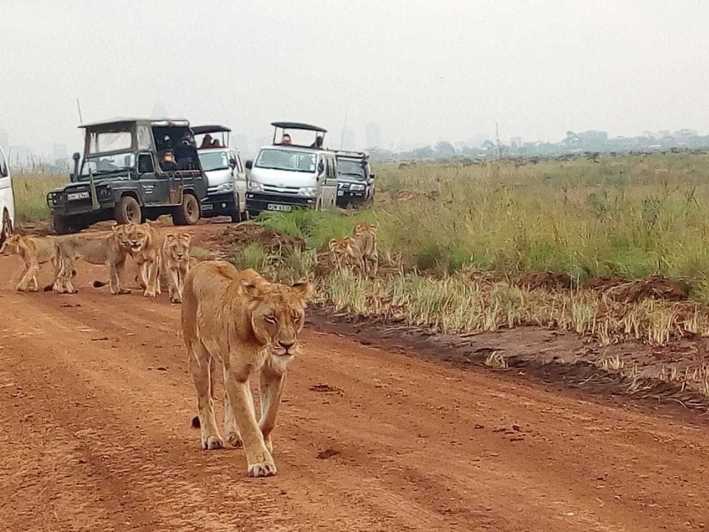 Game Drives Tour Packages